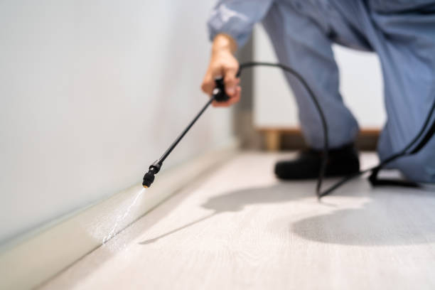 Licensed Fumigation Services service in Goodwater, AL - Nex Pest Control