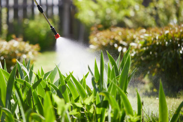 24/7 Emergency Fumigation Services experts in Goodwater, AL
