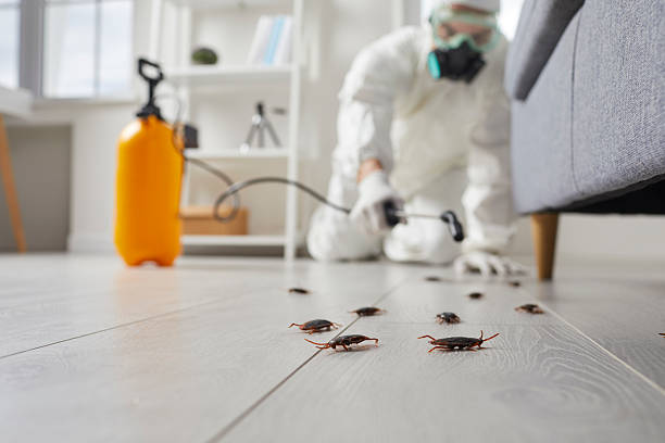 Trusted Fumigation Services service in Goodwater, AL - Nex Pest Control