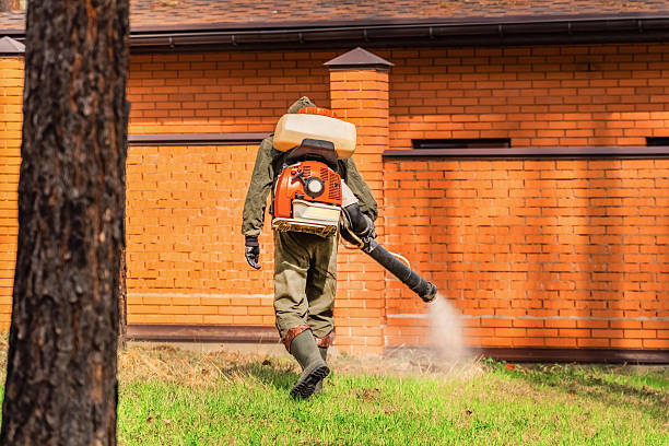 Trusted Bed Bug Control service in Goodwater, AL - Nex Pest Control